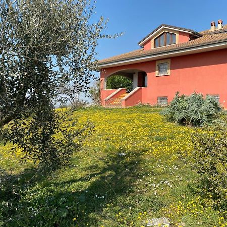 Belle Marche Bed & Breakfast Civitanova Alta Eksteriør bilde