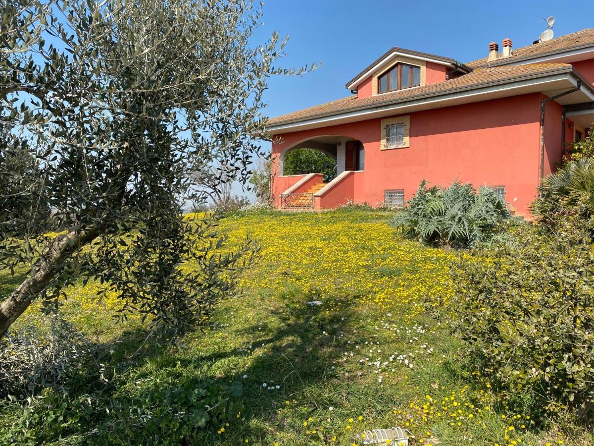 Belle Marche Bed & Breakfast Civitanova Alta Eksteriør bilde