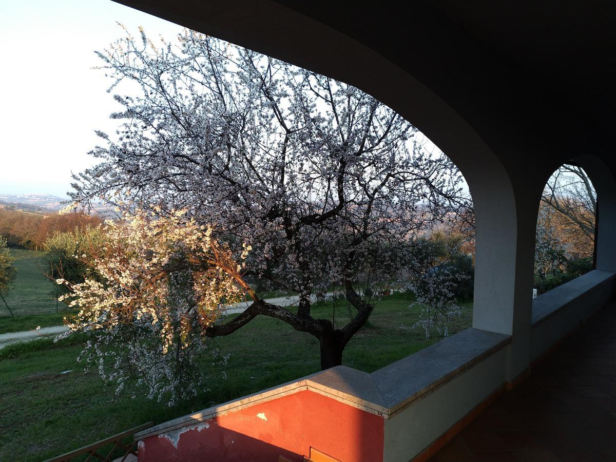 Belle Marche Bed & Breakfast Civitanova Alta Eksteriør bilde