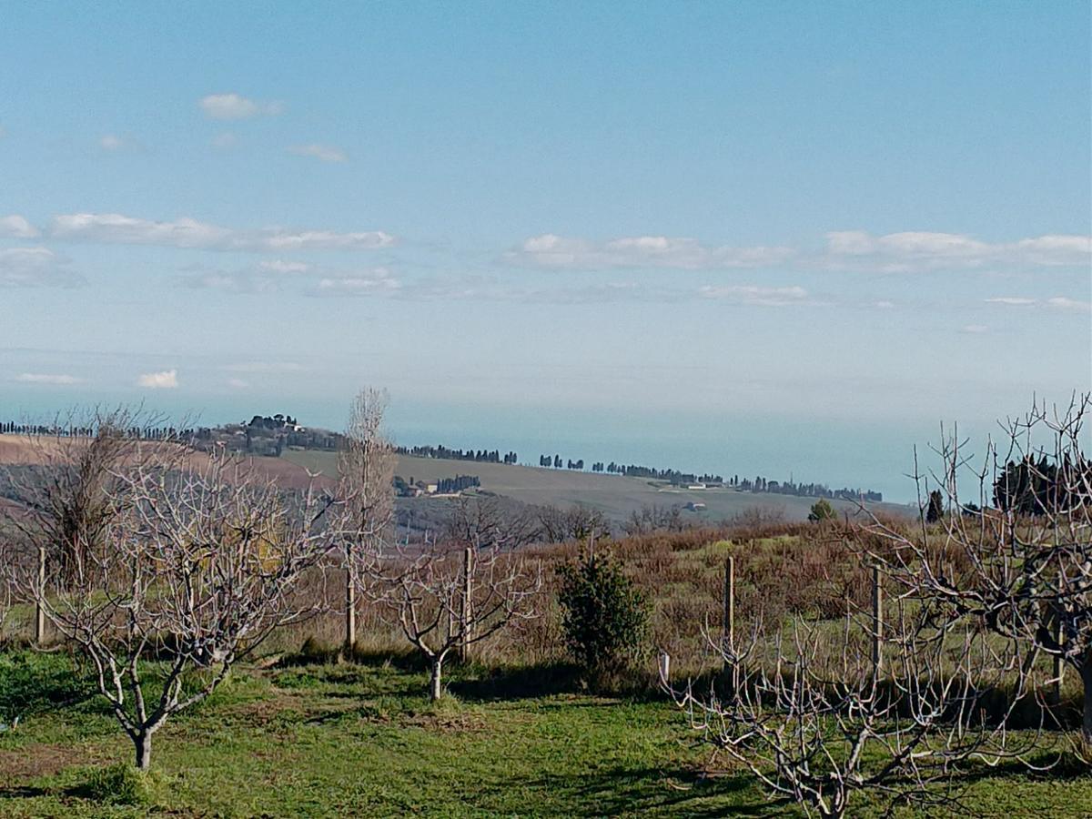 Belle Marche Bed & Breakfast Civitanova Alta Eksteriør bilde